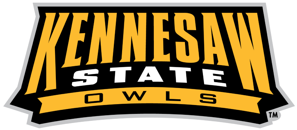 Kennesaw State Owls 2012-Pres Wordmark Logo v2 iron on transfers for T-shirts